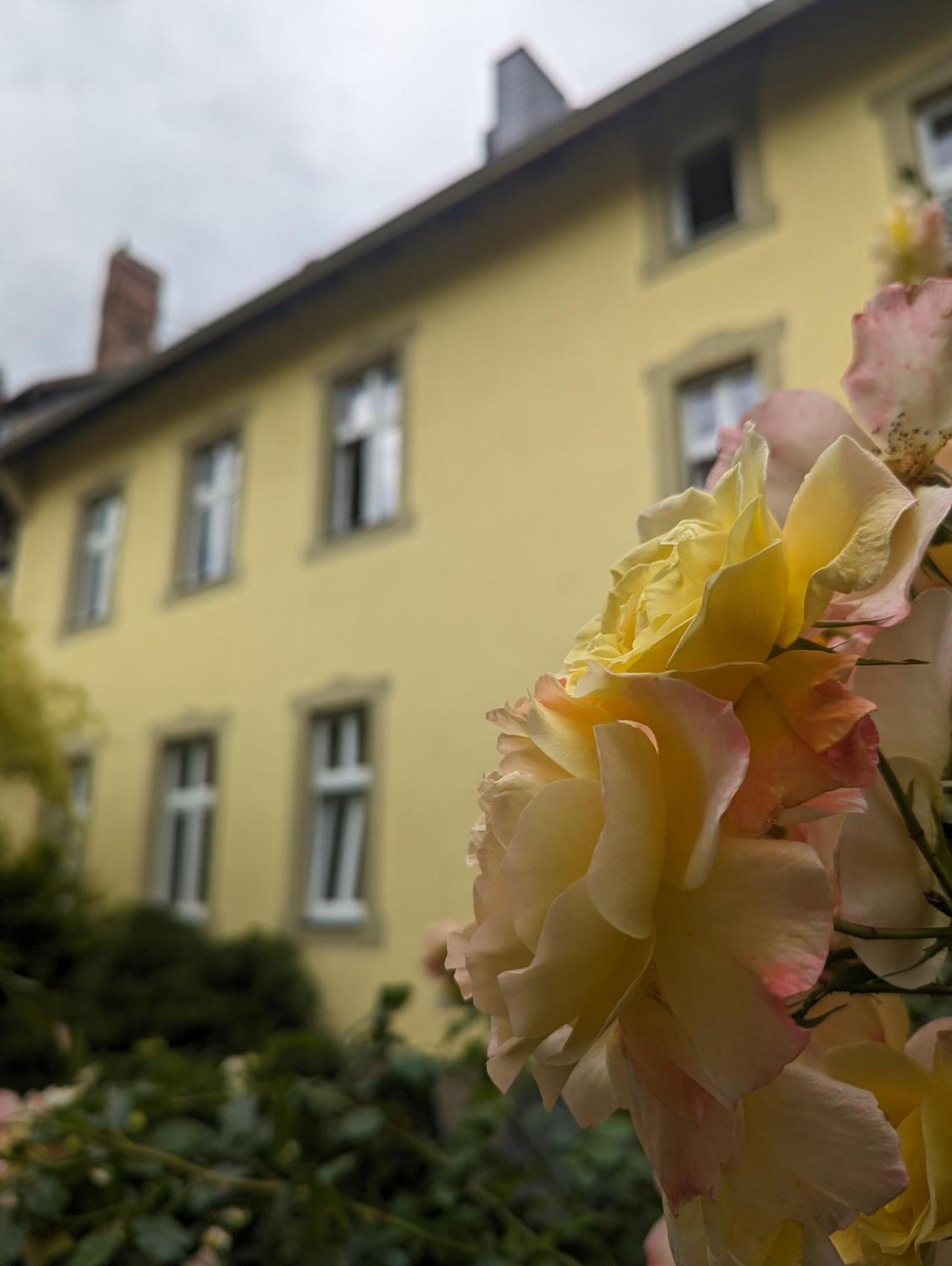 Atelier Wolkenschloss Wernigerode Eksteriør bilde